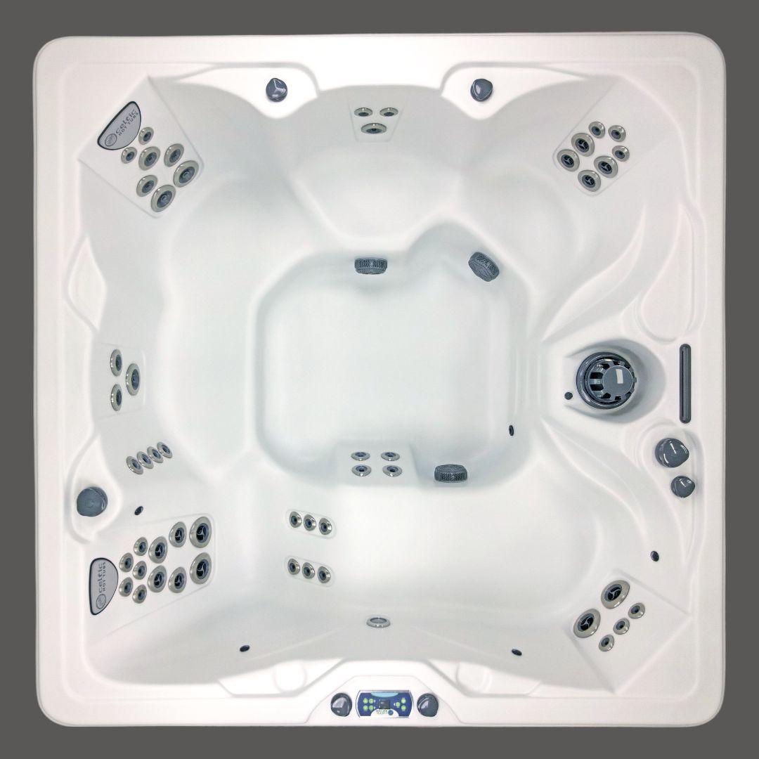 Clover 240